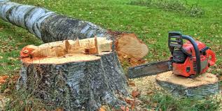 Best Firewood Processing and Delivery  in Adel, IA