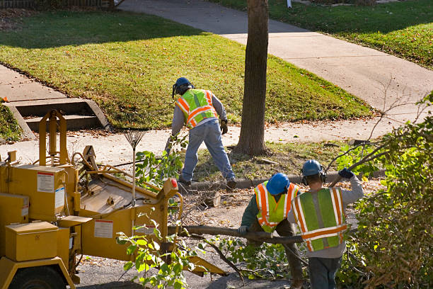 Landscape Design and Installation in Adel, IA