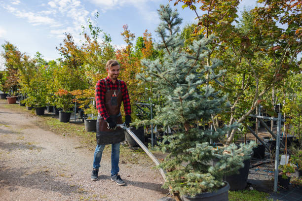  Adel, IA Tree Services Pros